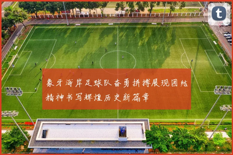 象牙海岸足球队奋勇拼搏展现团结精神书写辉煌历史新篇章