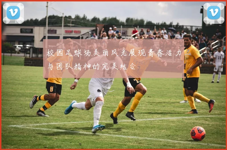 校园足球场美丽风光展现青春活力与团队精神的完美结合