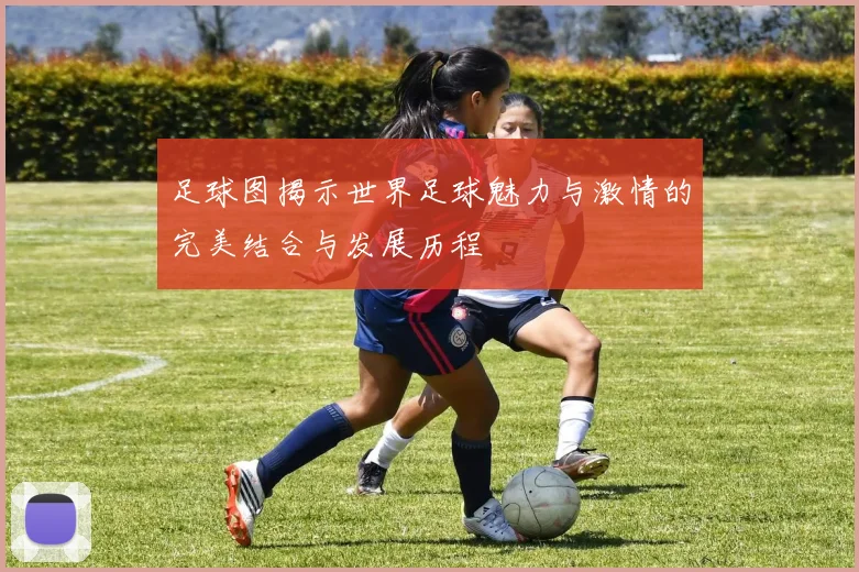 足球图揭示世界足球魅力与激情的完美结合与发展历程