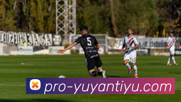 雨燕体育直播平台生态图