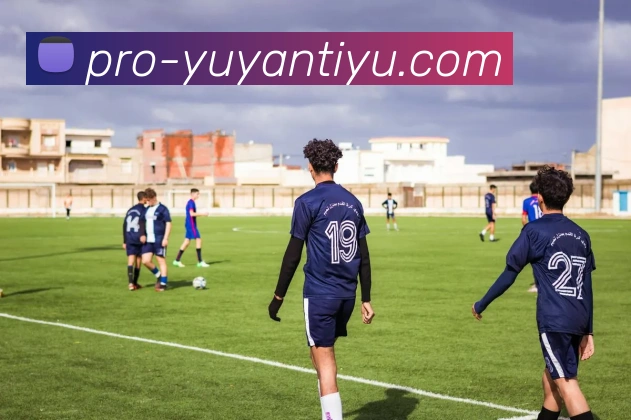 雨燕体育直播全站App